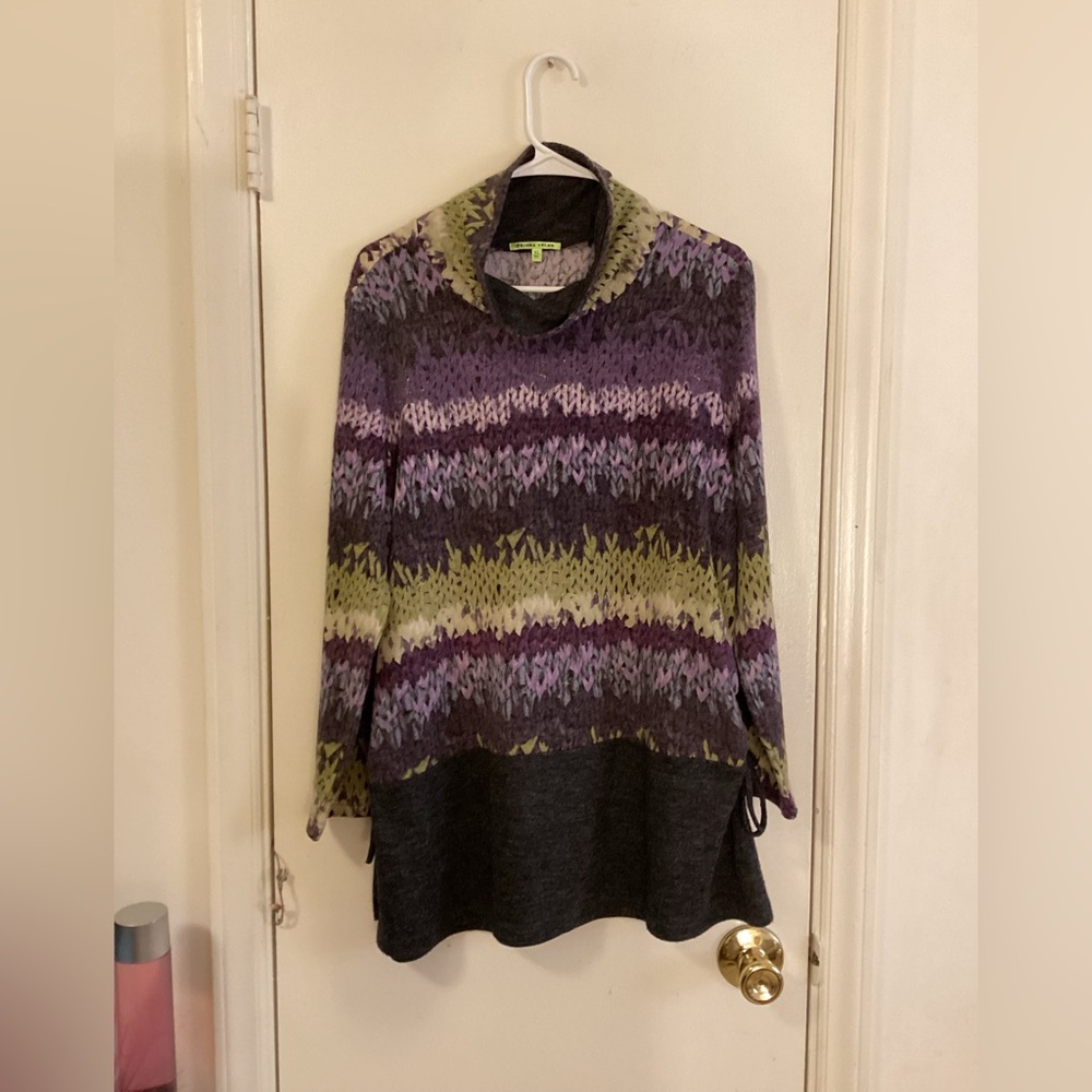 Trisha Tyler Cozy Purple and Green Cowl Neck Sweater